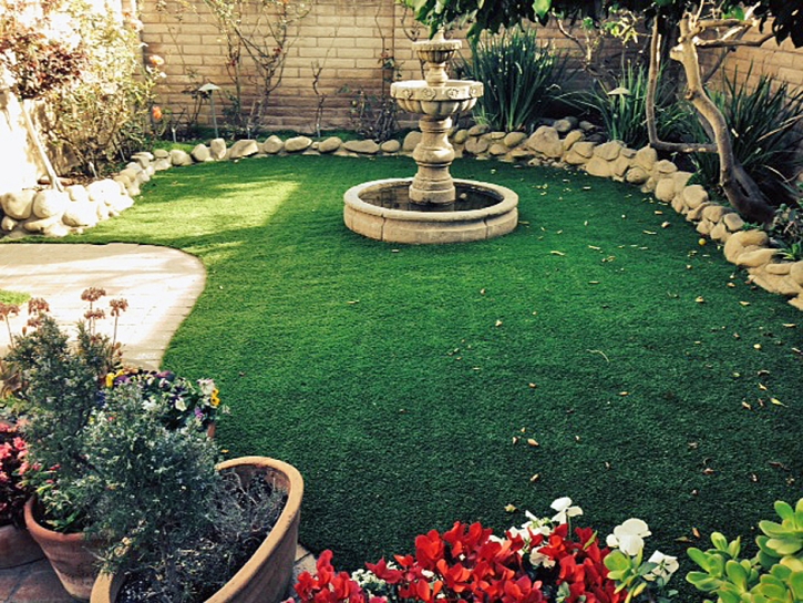 Best Artificial Grass Sedona, Arizona Garden Ideas