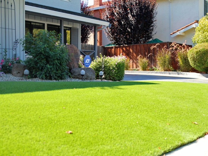 Best Artificial Grass Washington Park, Arizona Lawn And Garden, Small Front Yard Landscaping