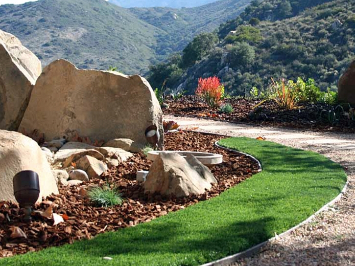 Fake Grass Carpet Buckeye, Arizona Landscape Ideas, Landscaping Ideas For Front Yard