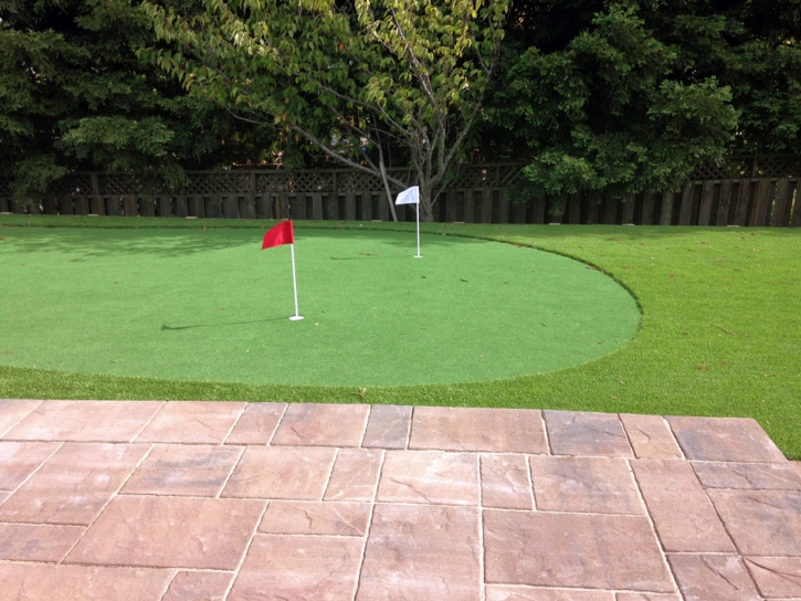 Fake Grass Carpet Christopher Creek, Arizona City Landscape, Backyard Ideas