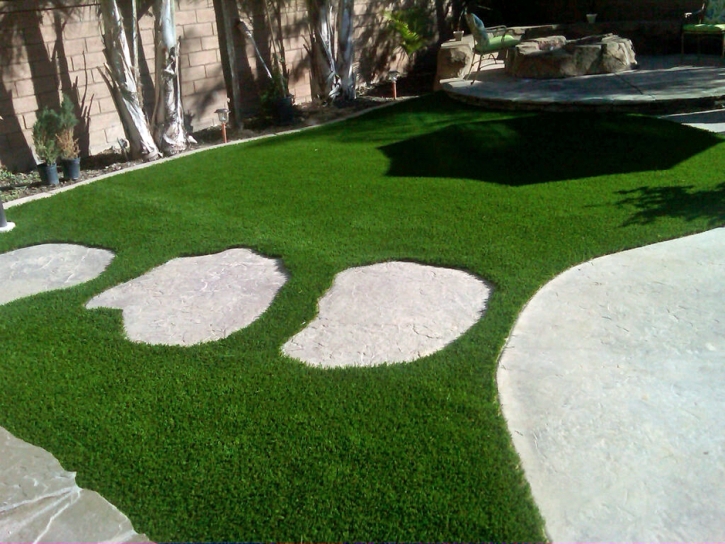 Fake Grass Carpet Douglas, Arizona Design Ideas, Small Backyard Ideas