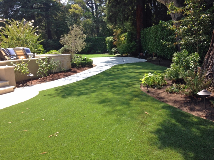 Fake Grass Carpet Fort Thomas, Arizona Lawn And Garden, Small Backyard Ideas