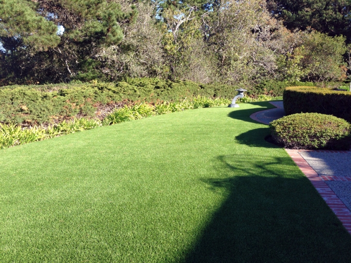 Fake Grass Carpet Taylor, Arizona Landscaping, Landscaping Ideas For Front Yard