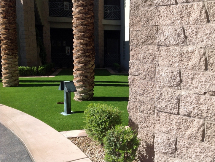 Fake Grass Carpet Winkelman, Arizona Lawn And Garden, Commercial Landscape