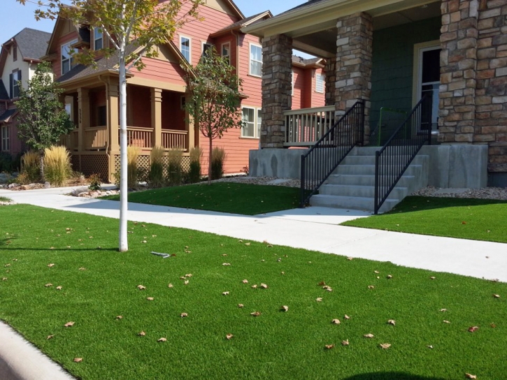 Fake Grass Coolidge, Arizona City Landscape, Front Yard Landscape Ideas