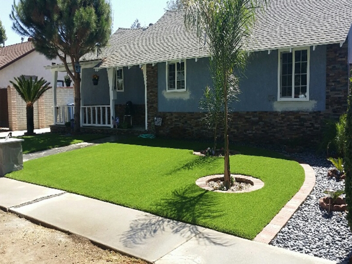 Fake Grass Kaka, Arizona Home And Garden, Front Yard Landscaping Ideas