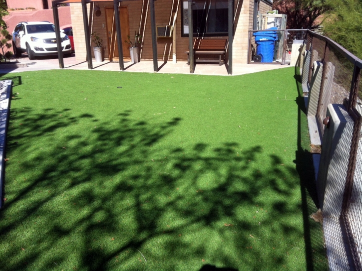 Fake Grass Mesa del Caballo, Arizona Landscape Ideas, Backyard Landscape Ideas