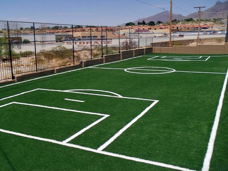 Fake Grass Santa Rosa, Arizona Red Turf