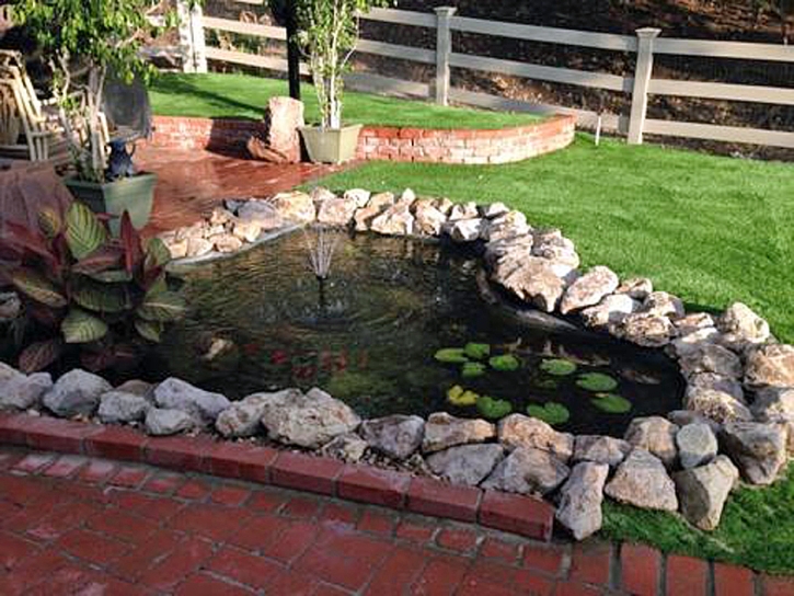 Fake Grass Somerton, Arizona Paver Patio, Swimming Pools