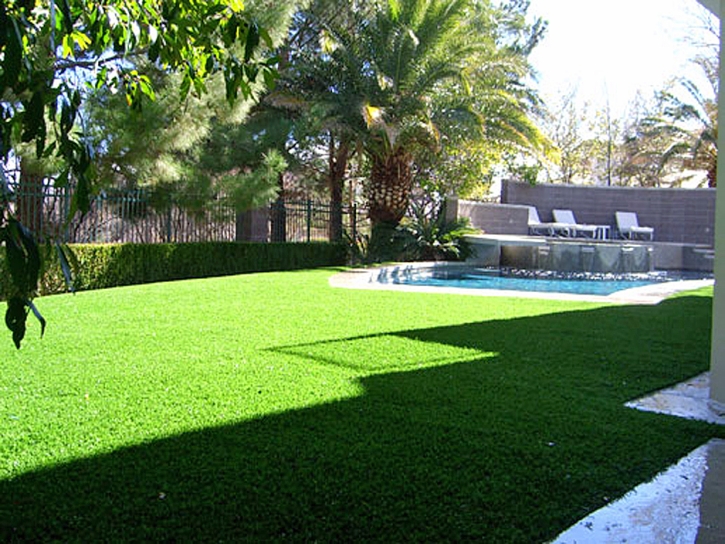 Fake Grass Summerhaven, Arizona Design Ideas, Backyard Landscaping Ideas