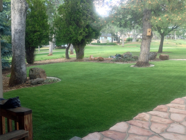 Fake Lawn Central, Arizona Lawn And Garden, Small Front Yard Landscaping