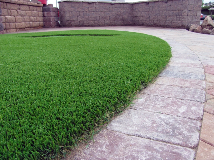 Fake Lawn Drexel Heights, Arizona Artificial Grass For Dogs, Landscaping Ideas For Front Yard