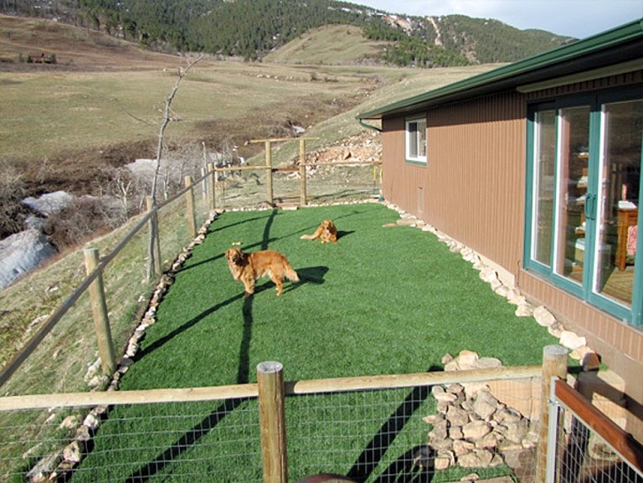 Fake Lawn Hayden, Arizona Drainage, Backyard Garden Ideas