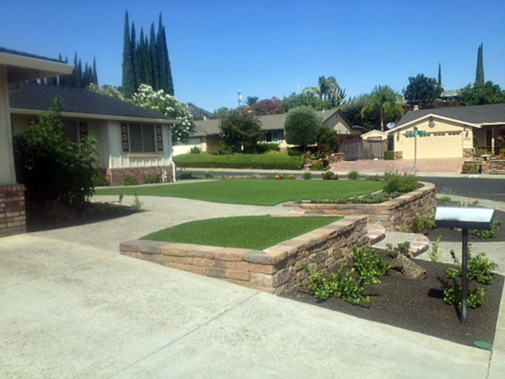 Fake Lawn Linden, Arizona Backyard Playground, Front Yard Landscape Ideas