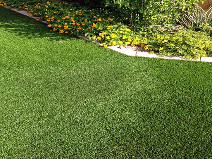 Fake Lawn McNary, Arizona Gardeners, Front Yard Landscaping Ideas