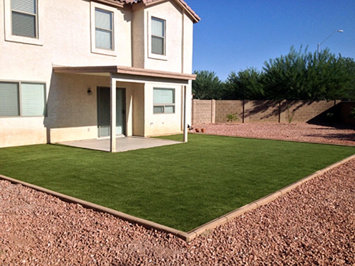 Fake Lawn Miami, Arizona Landscape Photos, Backyard