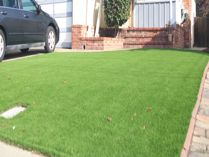 Fake Lawn San Carlos, Arizona Roof Top, Small Front Yard Landscaping