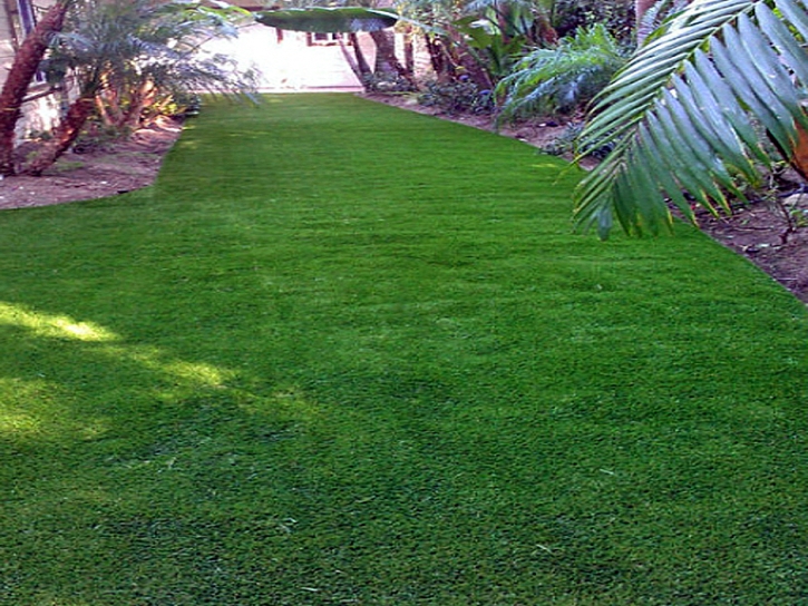 Fake Lawn Tuba City, Arizona Lawn And Landscape, Backyard Landscaping