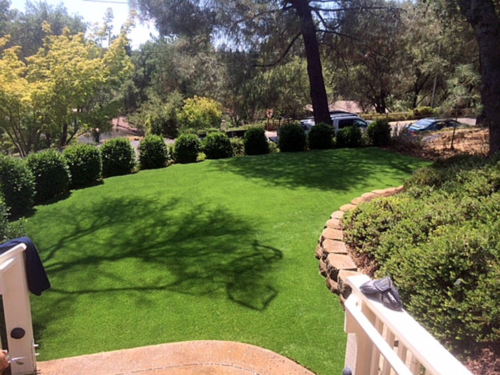 Fake Lawn Tubac, Arizona Backyard Playground, Backyard Makeover