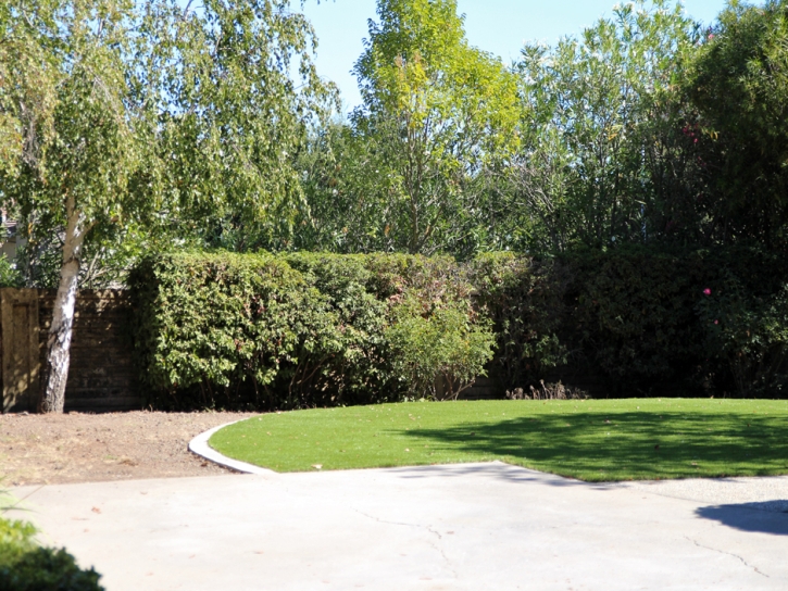 Fake Turf Ak Chin, Arizona Design Ideas, Backyard