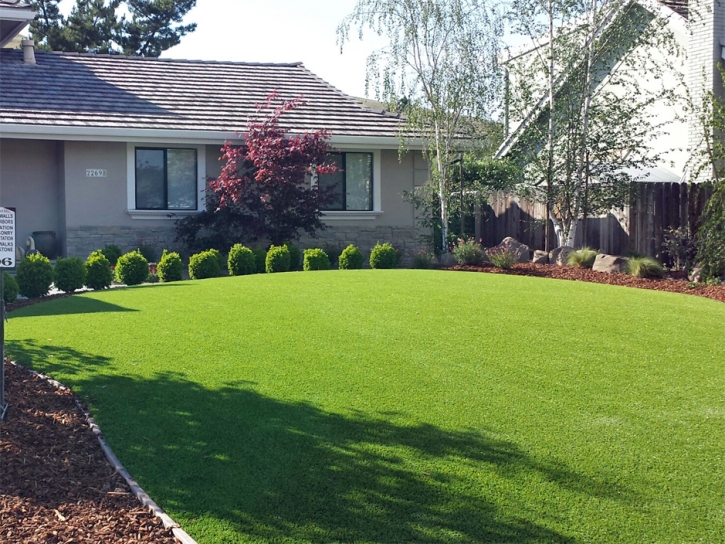 Fake Turf Cowlic, Arizona Backyard Playground, Front Yard Design