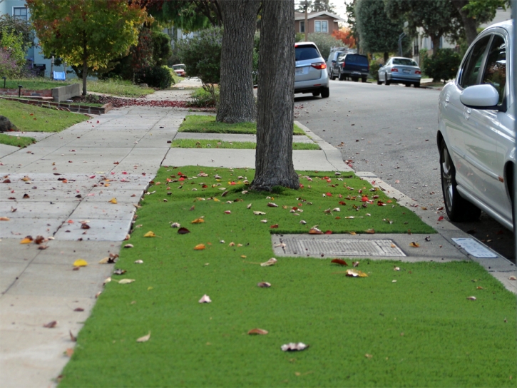 Fake Turf Grand Canyon Village, Arizona Backyard Deck Ideas, Landscaping Ideas For Front Yard