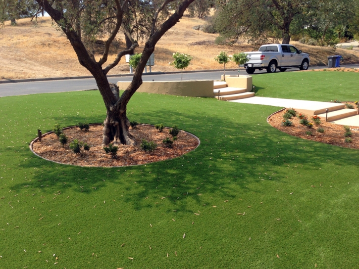 Fake Turf Jeddito, Arizona Garden Ideas, Front Yard Landscaping Ideas