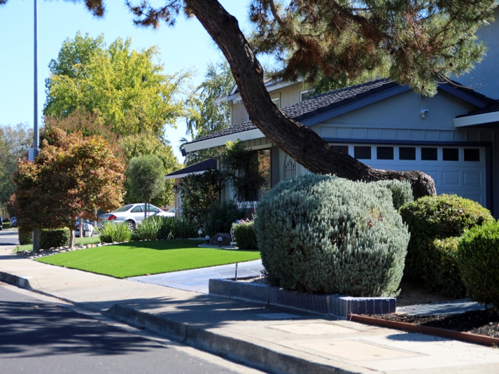 Fake Turf Marana, Arizona Landscape Design, Small Front Yard Landscaping