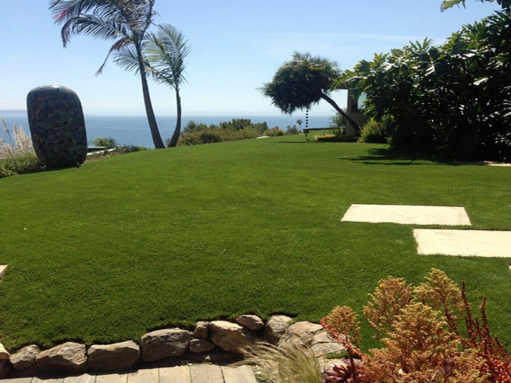 Fake Turf Miami, Arizona Backyard Playground, Commercial Landscape