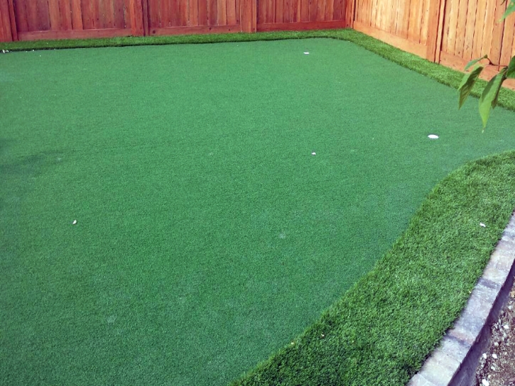 Fake Turf Miracle Valley, Arizona Lawns, Backyard Ideas