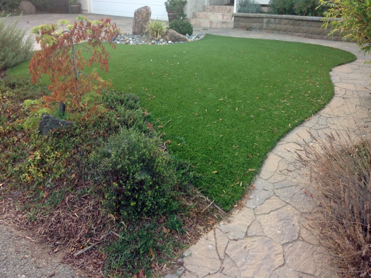 Fake Turf Oatman, Arizona Dog Hospital, Backyard Ideas