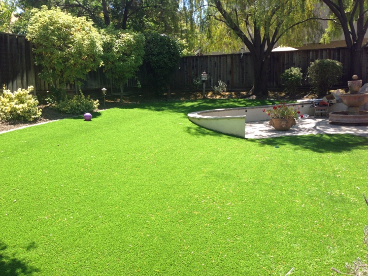 Fake Turf Oracle, Arizona Landscaping Business, Backyard Design