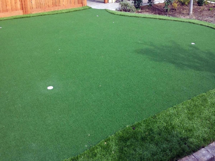 Fake Turf San Miguel, Arizona Backyard Deck Ideas