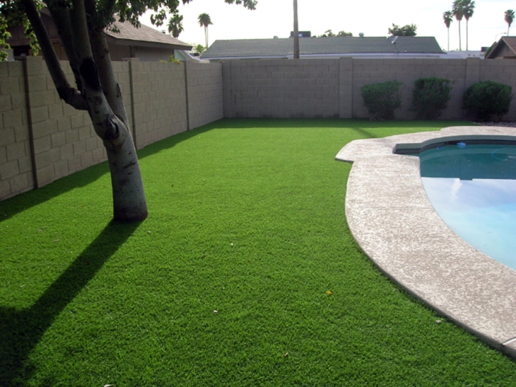 Fake Turf Vaiva Vo, Arizona Landscape Rock, Backyard Landscape Ideas