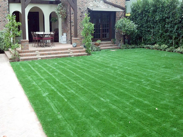 Faux Grass Arivaca, Arizona Lawns, Landscaping Ideas For Front Yard