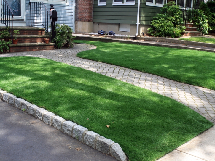 Faux Grass Ash Fork, Arizona Rooftop, Front Yard Design