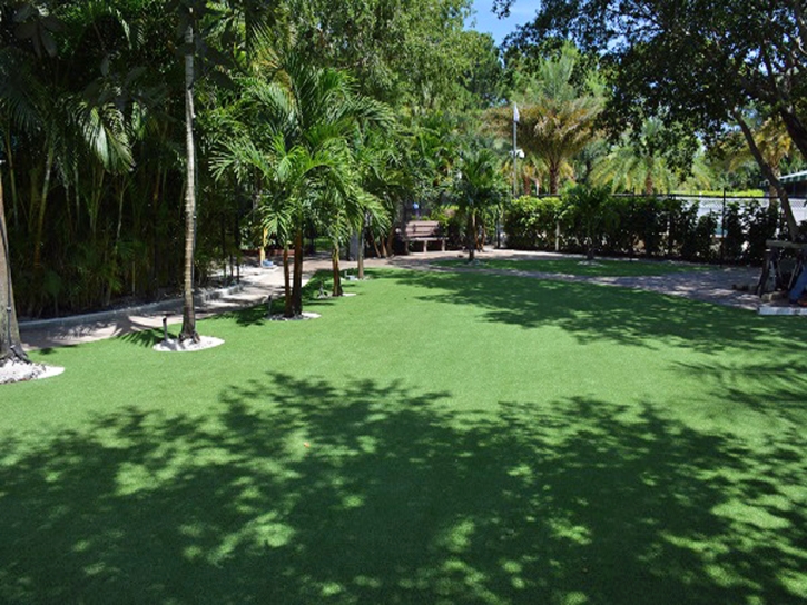 Faux Grass Chiawuli Tak, Arizona Design Ideas, Commercial Landscape