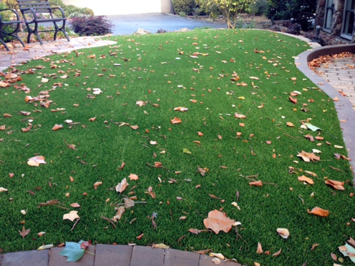 Faux Grass Greer, Arizona Rooftop, Front Yard Design