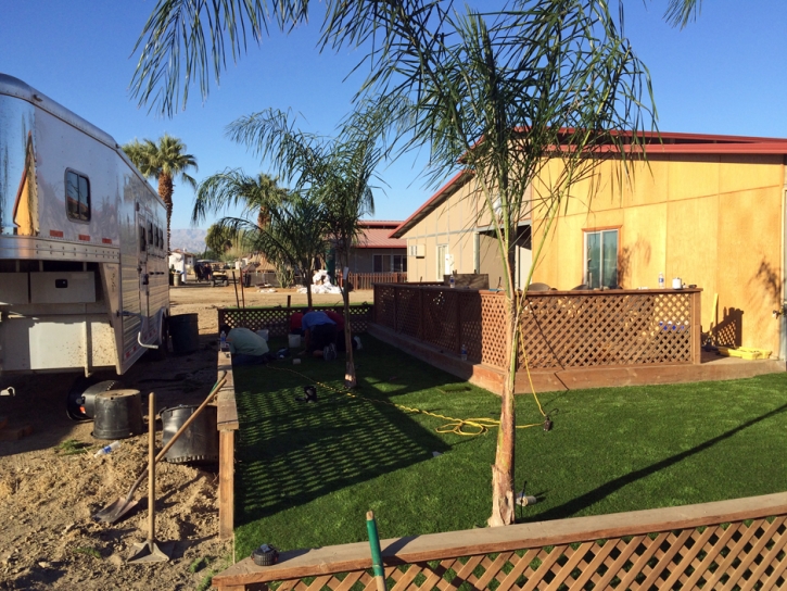 Faux Grass Mescal, Arizona Landscape Photos, Beautiful Backyards