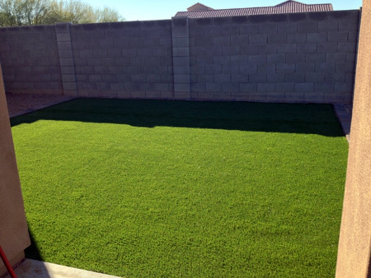 Faux Grass Paradise Valley, Arizona Gardeners, Backyard Designs