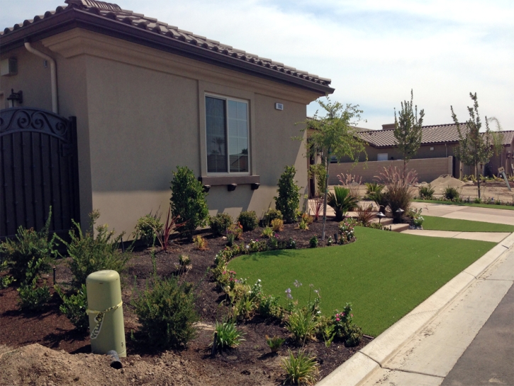 Faux Grass Topock, Arizona Lawn And Garden, Front Yard Design