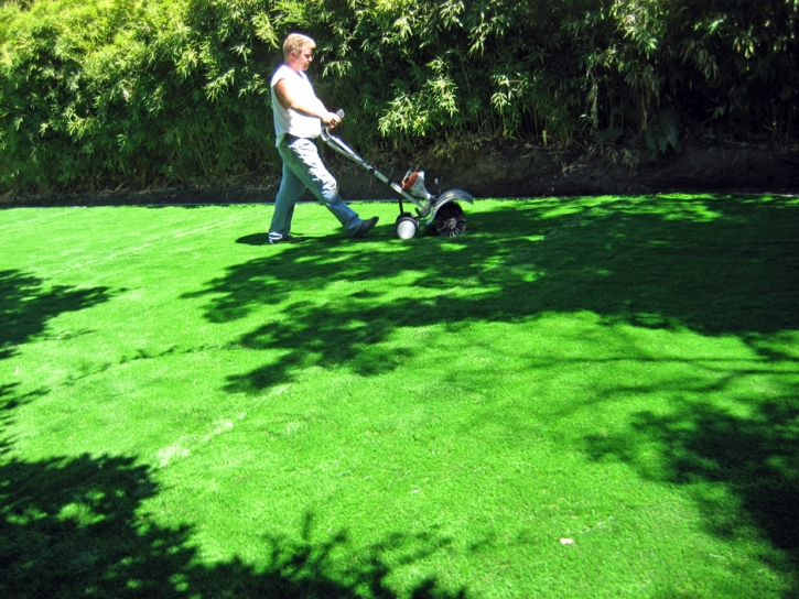 Faux Grass Williamson, Arizona Garden Ideas, Beautiful Backyards