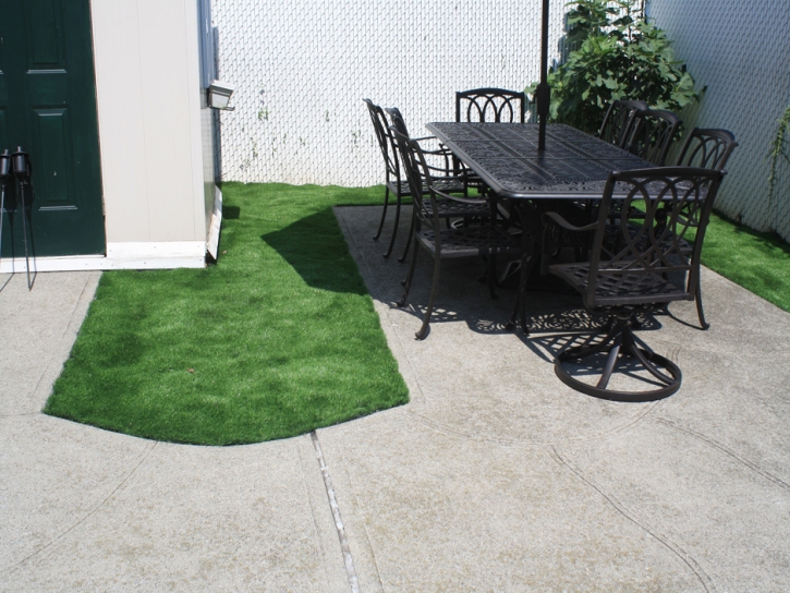 Grass Carpet Carrizo, Arizona Design Ideas, Backyard Ideas