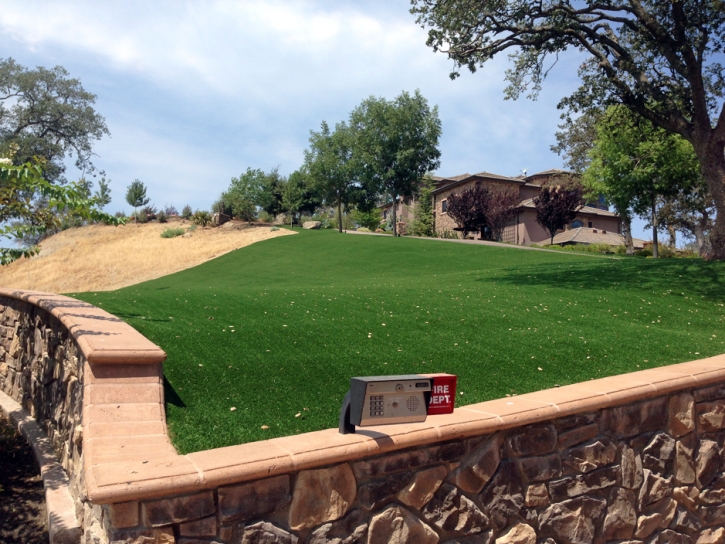 Grass Carpet Cave Creek, Arizona Backyard Deck Ideas, Front Yard