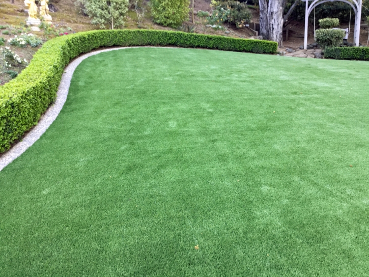 Grass Carpet Flowing Wells, Arizona Landscape Design, Backyard Landscaping