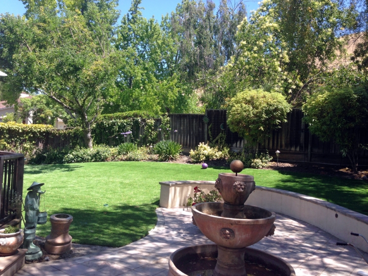 Grass Carpet Marana, Arizona Paver Patio, Backyard Designs