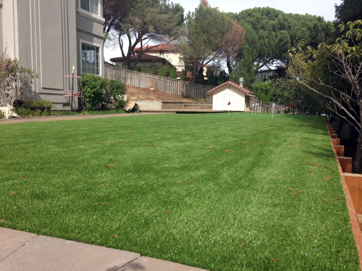 Grass Carpet Mayer, Arizona Putting Green Carpet, Backyard Garden Ideas