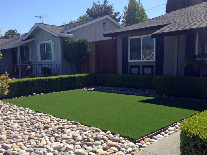 Grass Carpet Mesa del Caballo, Arizona Landscape Photos, Front Yard Landscaping