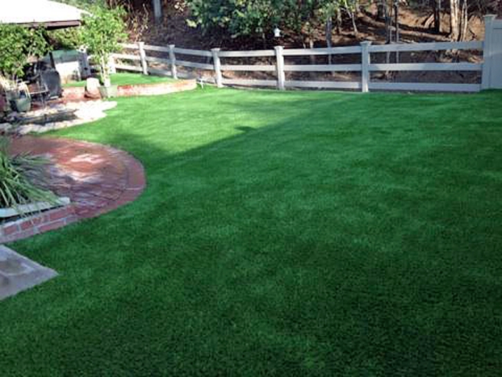 Grass Carpet Naco, Arizona Design Ideas, Backyard Landscaping