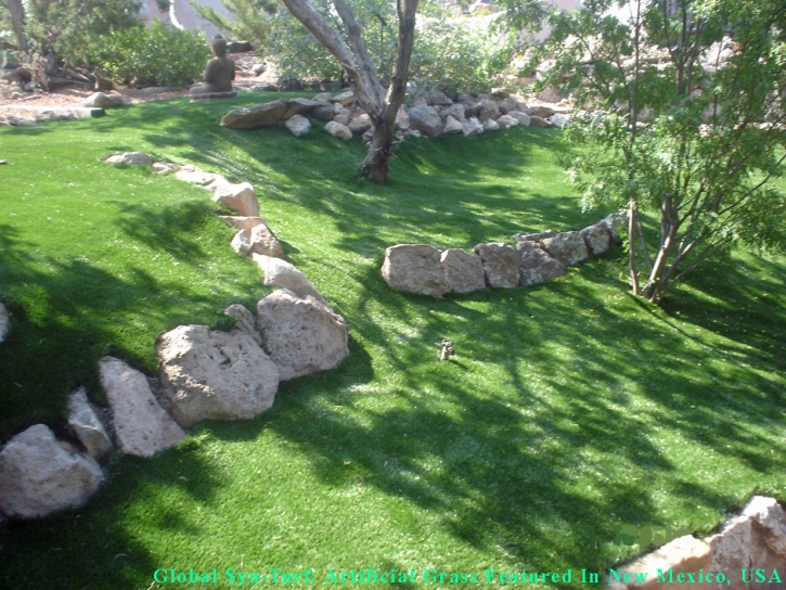 Grass Carpet Santan, Arizona Paver Patio, Commercial Landscape